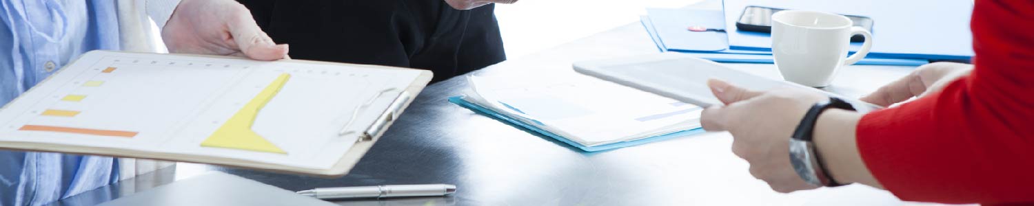 分析支援サービス